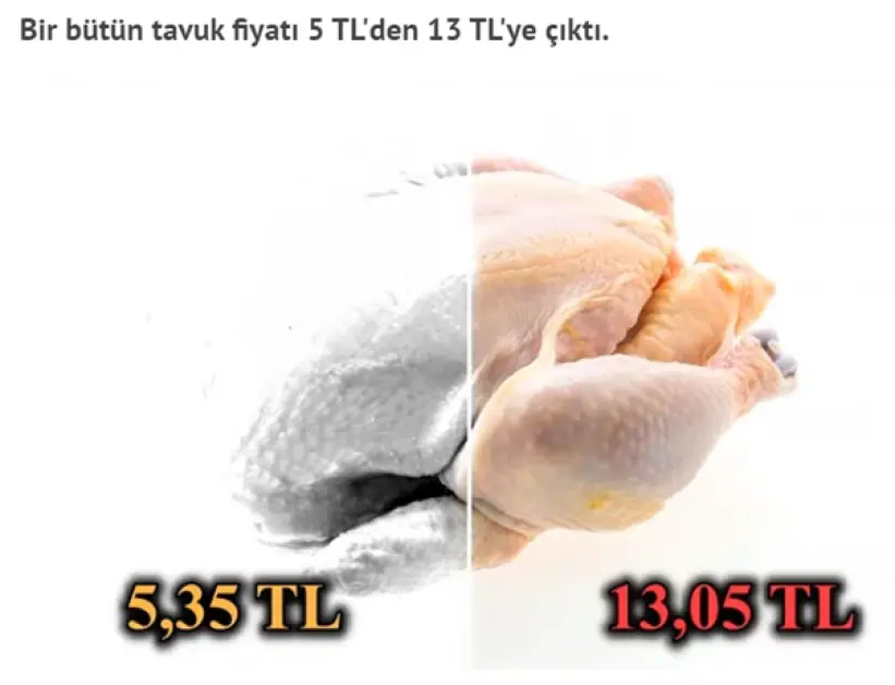سعر الدجاج في تركيا بعد التضخم
