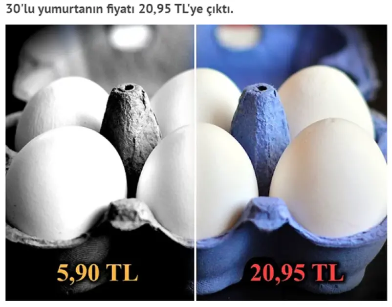 اسعار البيض في تركيا قبل وبعد